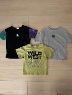 Champion GAP シューラルー　Tシャツ3枚セット