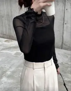 未使用★シースルーブラック 長袖 ハイネック トップス