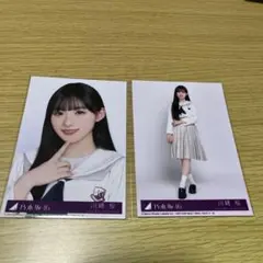 Item thumbnail for item 9a2defdb-3788-4f71-9955-27e4df8365b6