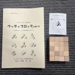 ピグマリオン】1〜20の数と計算 ヌマーカステンDVD付 ウッディブロック