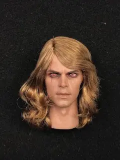 1/6 植毛 男性 ヘッド アナキン・スカイウォーカー 似 フィギュア