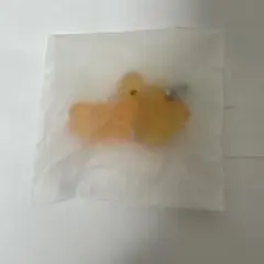 ポケモン うるつやリボンマスコット パモ