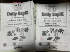 再値下げ❗️sapix 5年 国語テキスト一式 後期 平常授業AとB,夏期講習