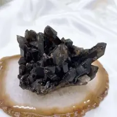 モリオン 置物