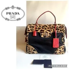 2026年最新】プラダ PRADA オーストリッチの人気アイテム - メルカリ