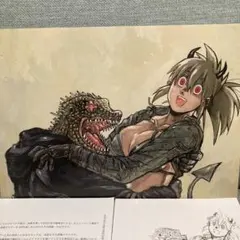 月刊IKKI ドロヘドロ 林田球 巻頭カラー 表紙 切り抜き まとめ - メルカリ