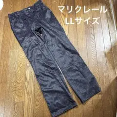 Item thumbnail for item 85487531-1afa-4496-a390-f7434cc8d06c