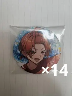 いれいす りうらくん 悠久休暇 缶バッジ 14個セット - メルカリ
