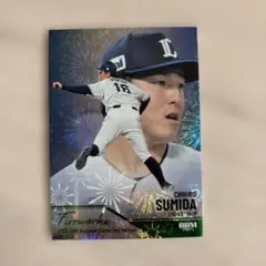 埼玉西武ライオンズ 記念グッズ