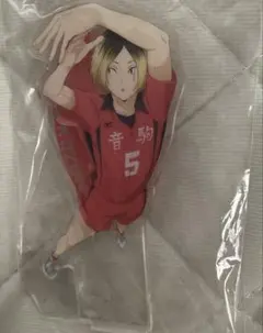 2025年最新】孤爪研磨 缶バッジ 映画の人気アイテム - メルカリ