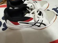 Item thumbnail for item 15090a61-9c4e-4e4a-b20c-c64a2175c233