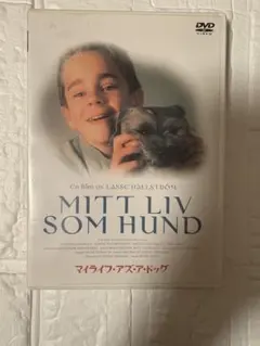 マイライフ・アズ・ア・ドッグ DVD