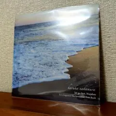 最終値下げ！　haruka nakamura / lamp / nujabes OS03NjIxLmpwZWc.jpeg