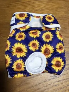 Item thumbnail for item 9473d9ff-a33e-4504-9cd1-e90b034c43a6