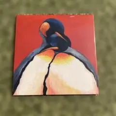 South Penguin / R 新品未使用 ラスト1