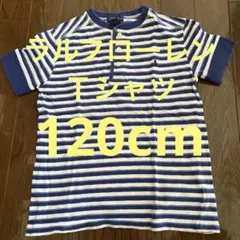 Polo Ralph Lauren 120cm Tシャツ