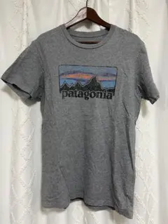 patagonia メンズ Tシャツ M グレー スリムフィット