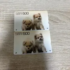 ふみカード 500円 第1回発売記念 2枚セット