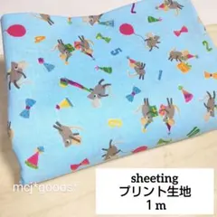 Item thumbnail for item 59336be5-e988-44c6-865a-a3b403acbcb6