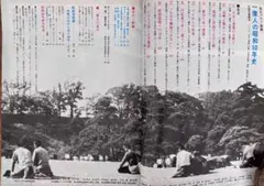 毎日グラフ 別冊 一億人の昭和50年史 1975年,昭和50年発刊 毎日新聞社