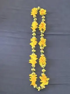 푸아케니 케니 모키하나 쉘 레이 훌라 댄스