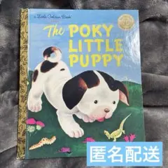 Item thumbnail for item db265861-b976-420a-882c-72acea1ac7ab