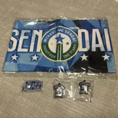 マイナビ仙台レディース タオルマフラー キーホルダー　セット