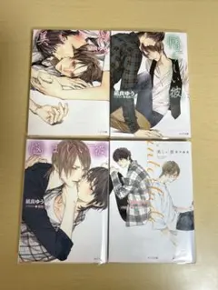 美しい彼 原作小説 文庫4冊セット 凪良ゆう