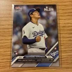 Randy Naorton様 リクエスト 2点 まとめ商品