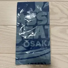 Item thumbnail for item 6a2e83f1-8388-411c-9613-be2f6166c893