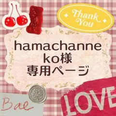 hamachanneko様 リクエスト 4点 まとめ商品