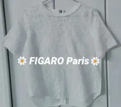 未使用に近い　FIGARO paris 　チューリップブラウス 2017　グレー 2026年最新】FIGARO Paris レディース シャツ・ブラウスの人気アイテム