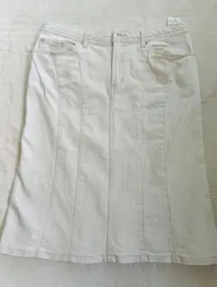 Item thumbnail for item 66380a4e-2cbe-4b11-bba8-f6509186c7b4