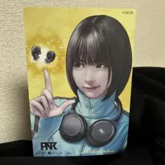 あのちゃん　ポストカード　フライヤー ano 武道館 アップグレード特典 ラミネートパス フライヤー あのちゃん