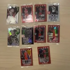 バレーボール ウエハース 石川