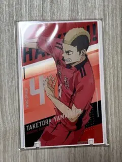 ハイキュー‼︎　山本猛虎　アートパネルコレクションvol.2