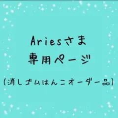Ariesさま専用ページ