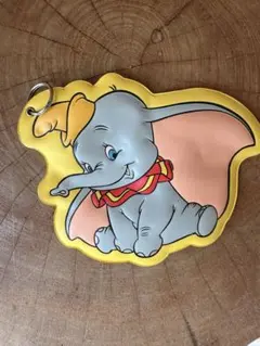ディズニーリゾート　チケットホルダー
