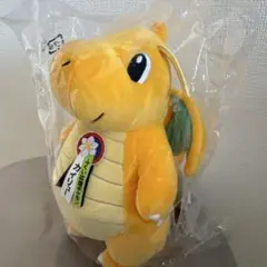 2026年最新】福井 カイリューの人気アイテム - メルカリ