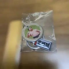 大相撲ガチャ 相撲