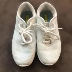 Item thumbnail for item 2747ccd6-6903-441b-ad8b-991bb968a69d