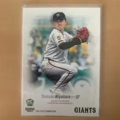 Item thumbnail for item 2b07015e-03e0-4ec3-b599-ef023b295038