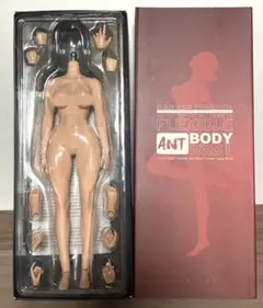 Fremego 1/6 シームレス 素体 フィギュア