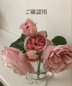 こちらはご確認用です