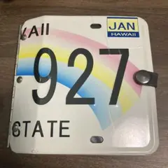 Item thumbnail for item b6a4507b-da26-4bd3-b69a-31bf5bf32c9d