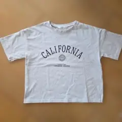 ルノンキュール　テチチ　半袖Tシャツ　フリーサイズ　ベージュのサムネイル