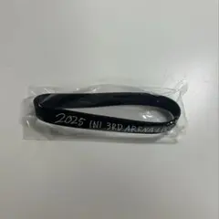 西洸人 ラバーバンド