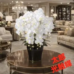 光触媒　人工観葉植物　ウォールグリーン　フェイクグリーン　キング胡蝶蘭７本立Wのサムネイル