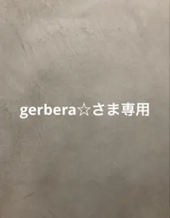 gerbera☆さま専用