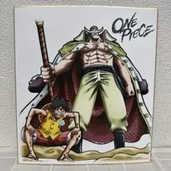 ワンピース　一番くじ色紙大　コレクション①